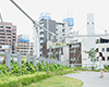 DSC_3150.JPG